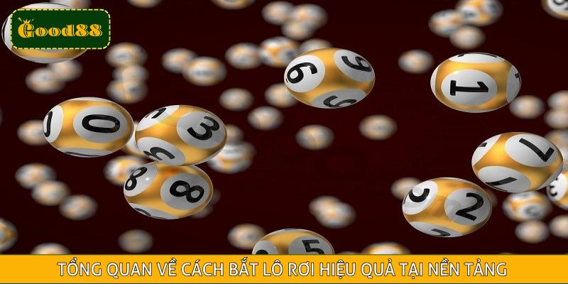 Tổng quan về cách bắt lô rơi hiệu quả tại nền tảng