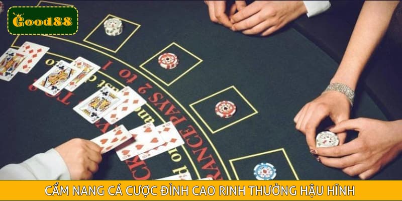 Cẩm nang cá cược đỉnh cao rinh thưởng hậu hĩnh