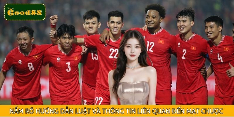 Các trận đấu tại V.League và AFC Champions League đều được cập nhật liên tục