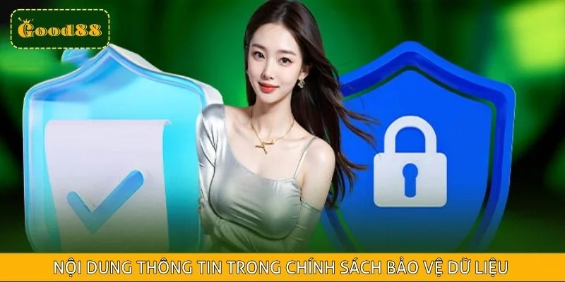 Nội dung thông tin trong chính sách bảo vệ dữ liệu