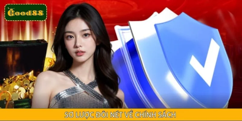 Sơ lược đôi nét về chính sách