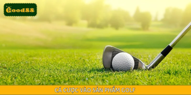Cá cược vào trận đấu golf siêu cuốn