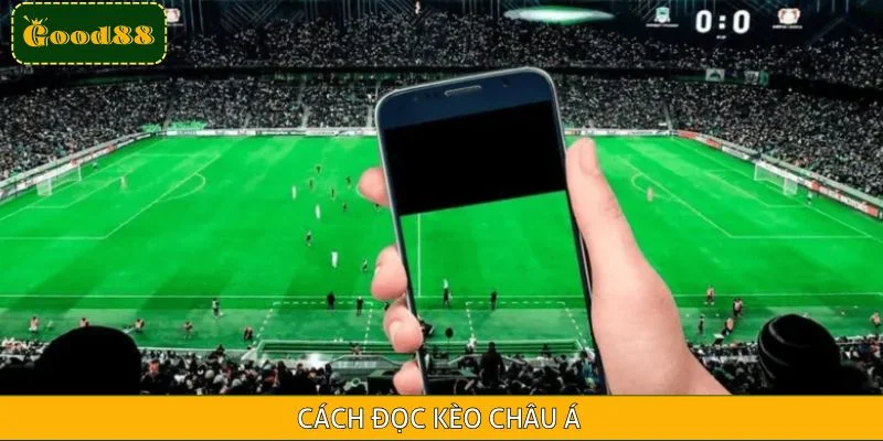 Cách đọc kèo châu Á chi tiết cho các tân thủ hiện tại