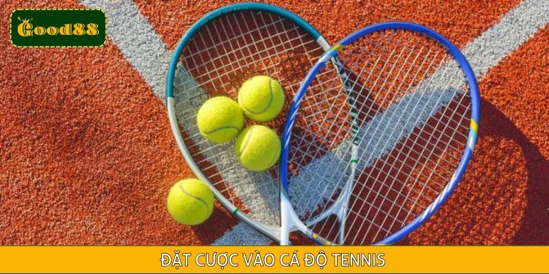 Dự đoán kết quả các trận tennis